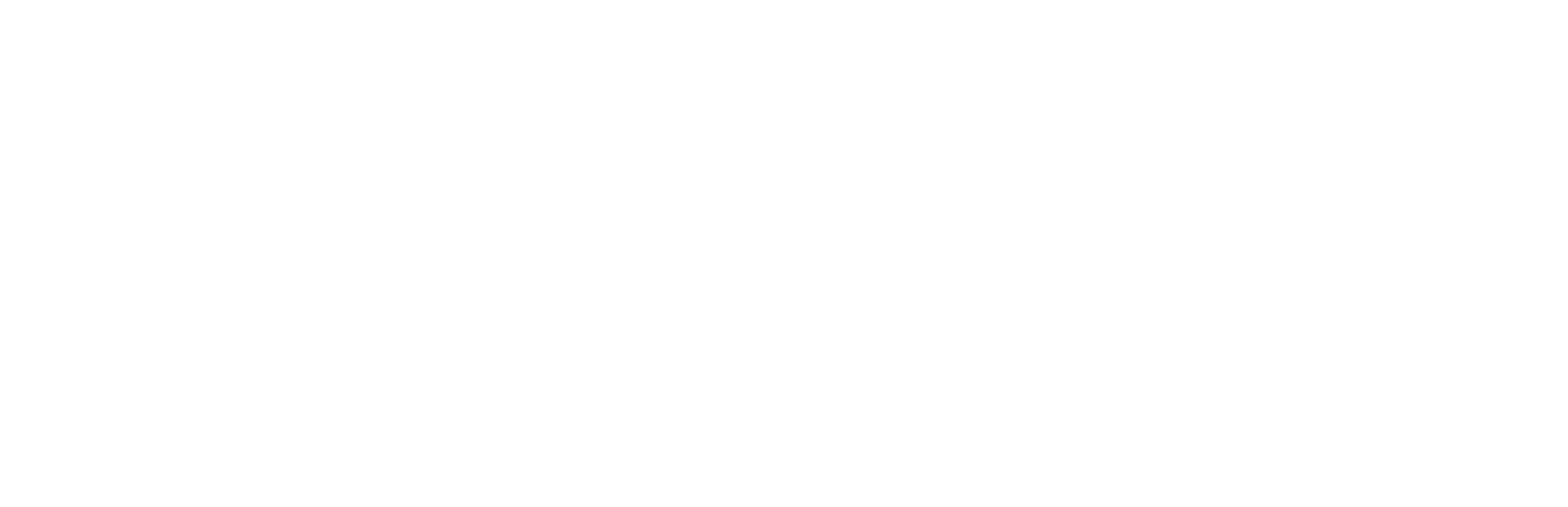 Sandra Chiodo
